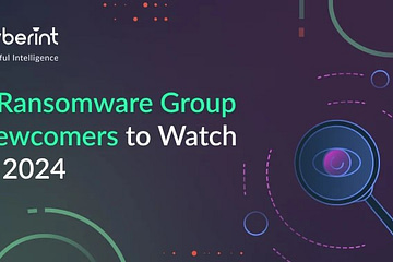 Ransomware Group